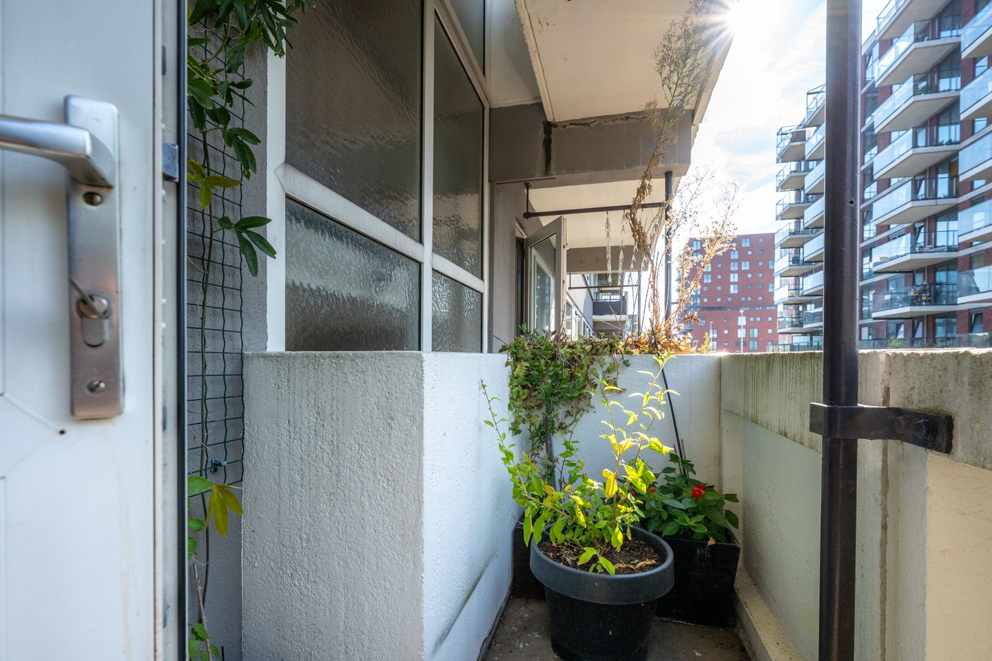 Photo 49 of Auriollaan 73