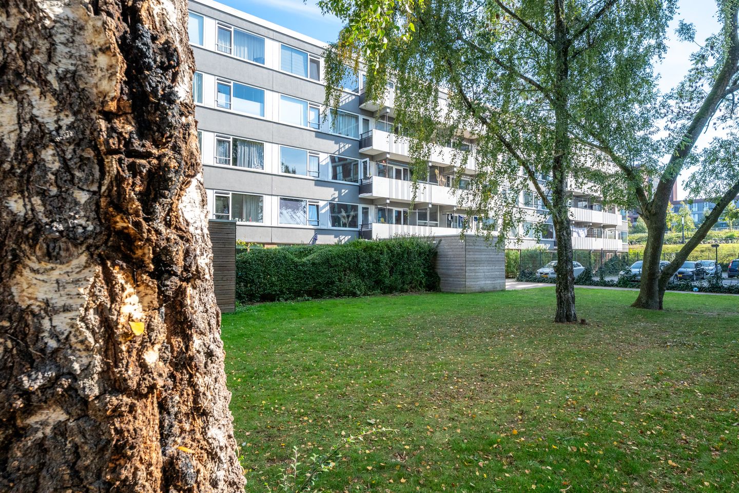 Photo 55 of Auriollaan 73