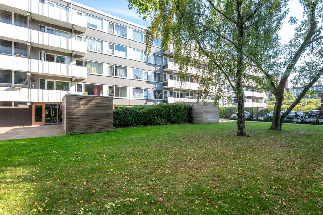 Photo 56 of Auriollaan 73