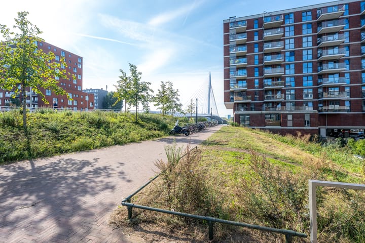 Foto 65 van Auriollaan 73