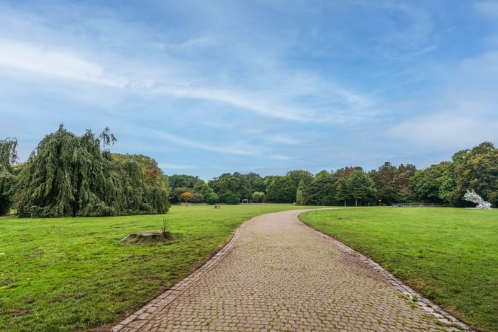 Foto 37 van President Kennedylaan 270-4