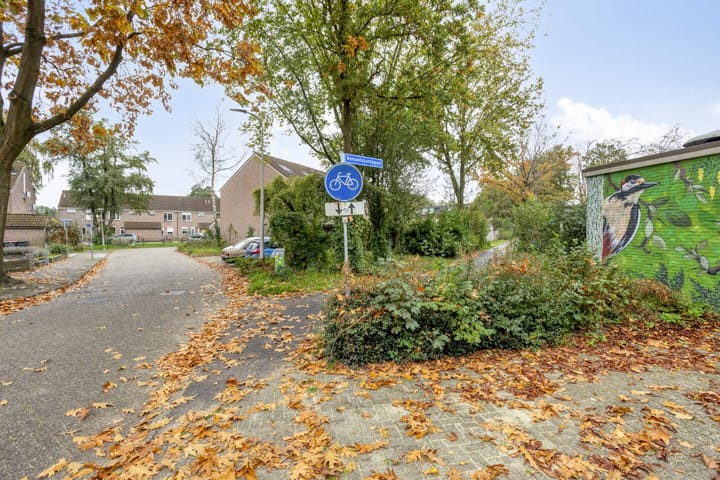 Foto 31 van Muldermanshoek 4