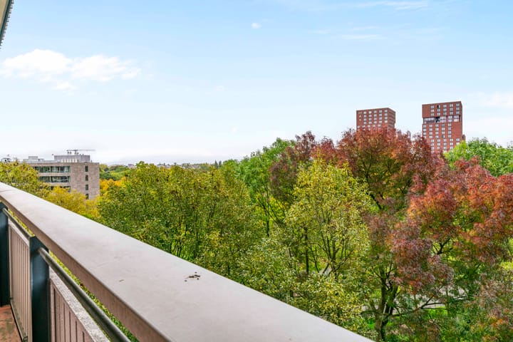 Foto 19 van Livingstonelaan 1120