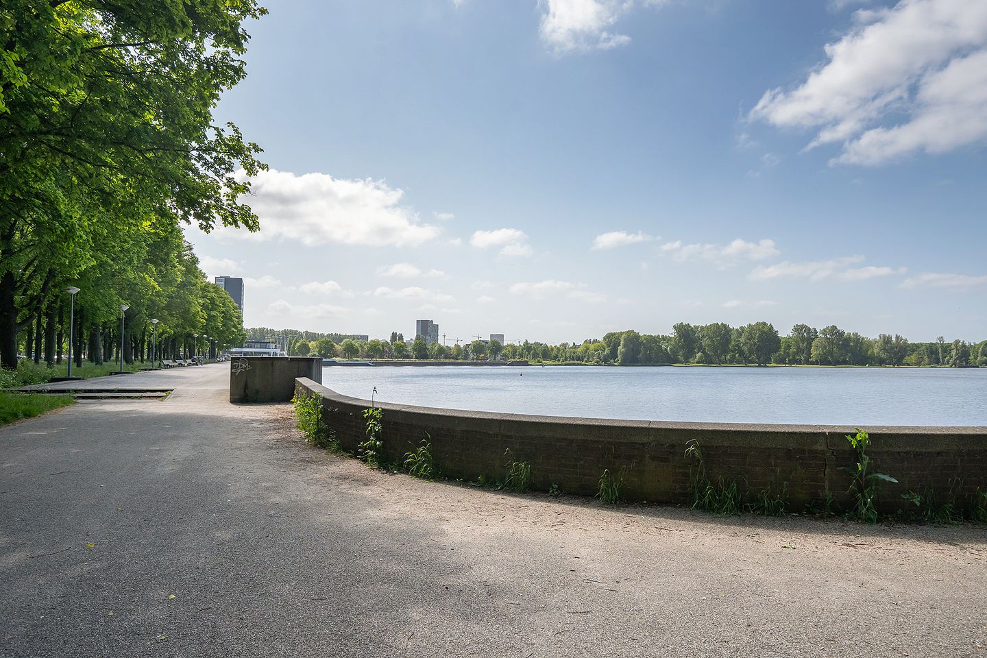 Foto 29 van Burgemeester Hogguerstraat 1223