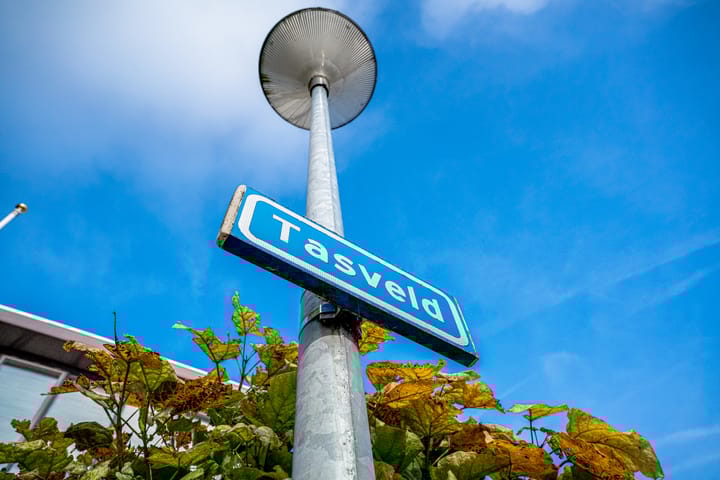 Foto 5 van Tasveld 1