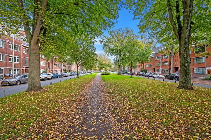 Foto 39 van Pippelingstraat 108