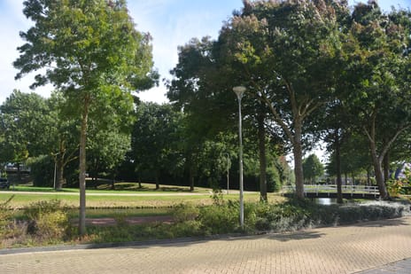 Luit 55 secondary image