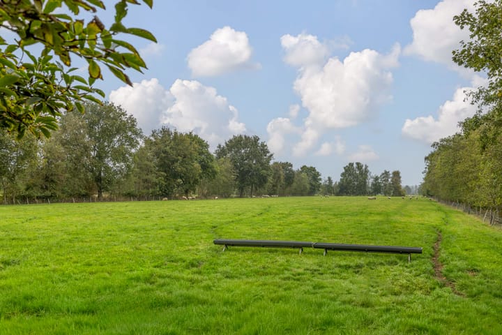 Foto 49 van Foarwei 26