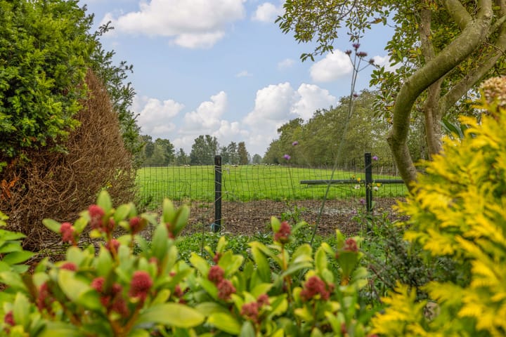 Foto 47 van Foarwei 26