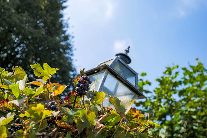 Photo 39 of Jagerstraat 15