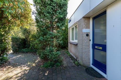 Boerhaavelaan 38 secondary image