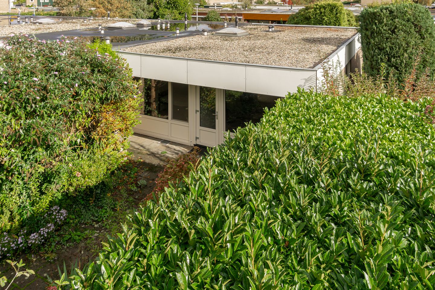 Foto 4 van Boerhaavelaan 38