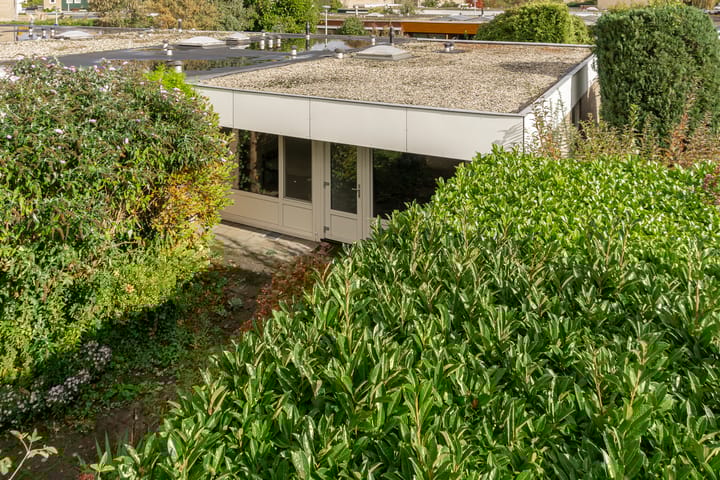 Photo 4 of Boerhaavelaan 38