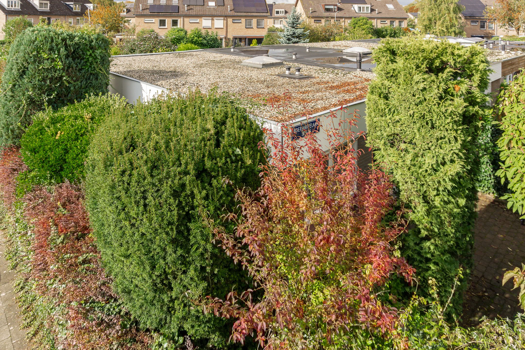 Foto 6 van Boerhaavelaan 38