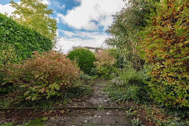 Photo 17 of Boerhaavelaan 38