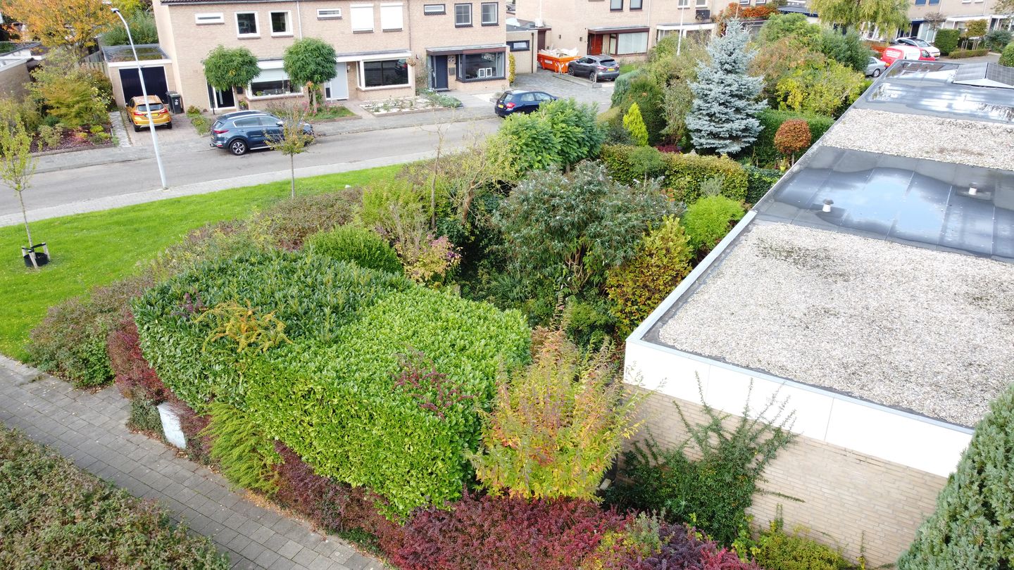 Foto 19 van Boerhaavelaan 38