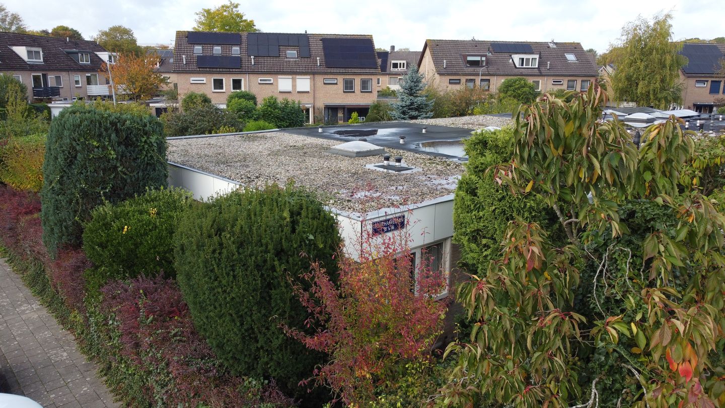 Foto 20 van Boerhaavelaan 38