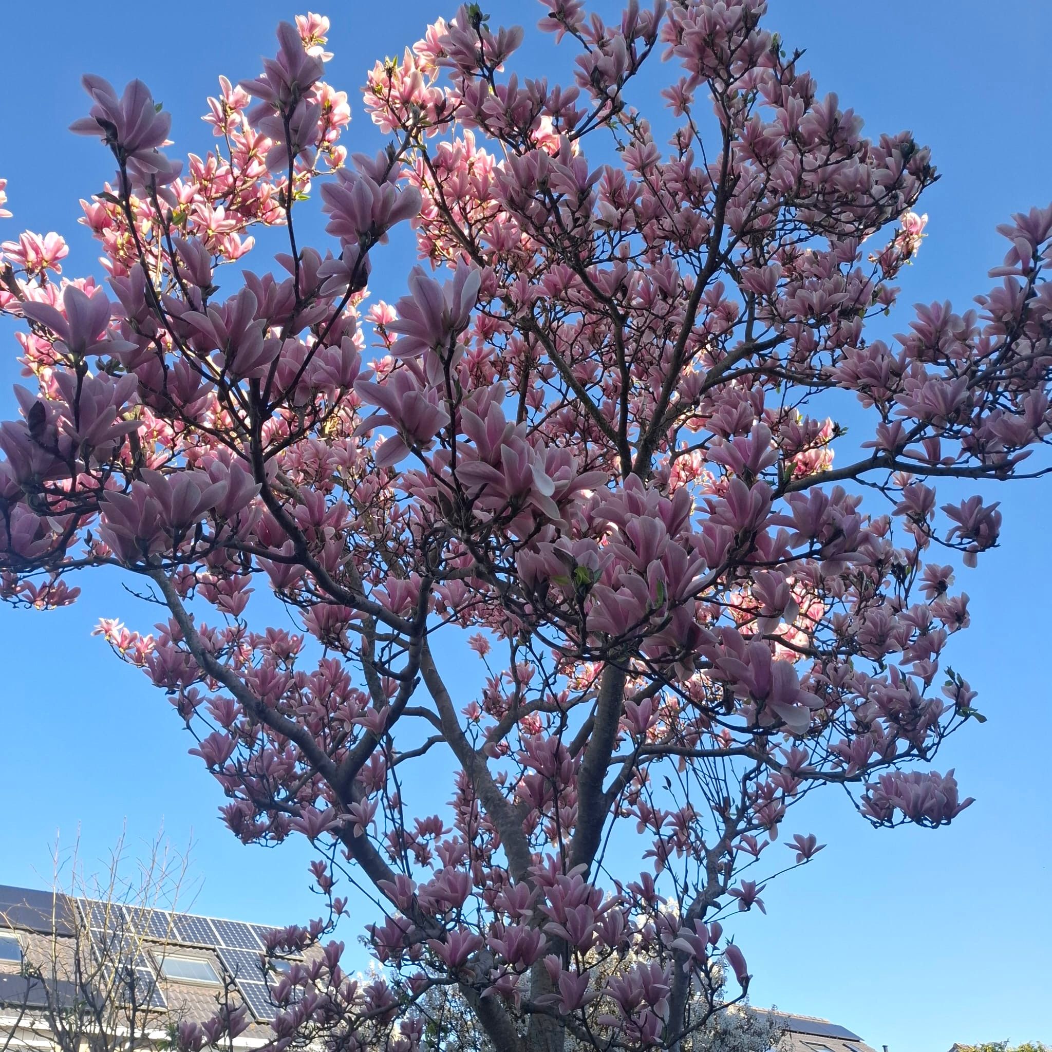 Foto 21 van Hoendiep Oostzijde 59