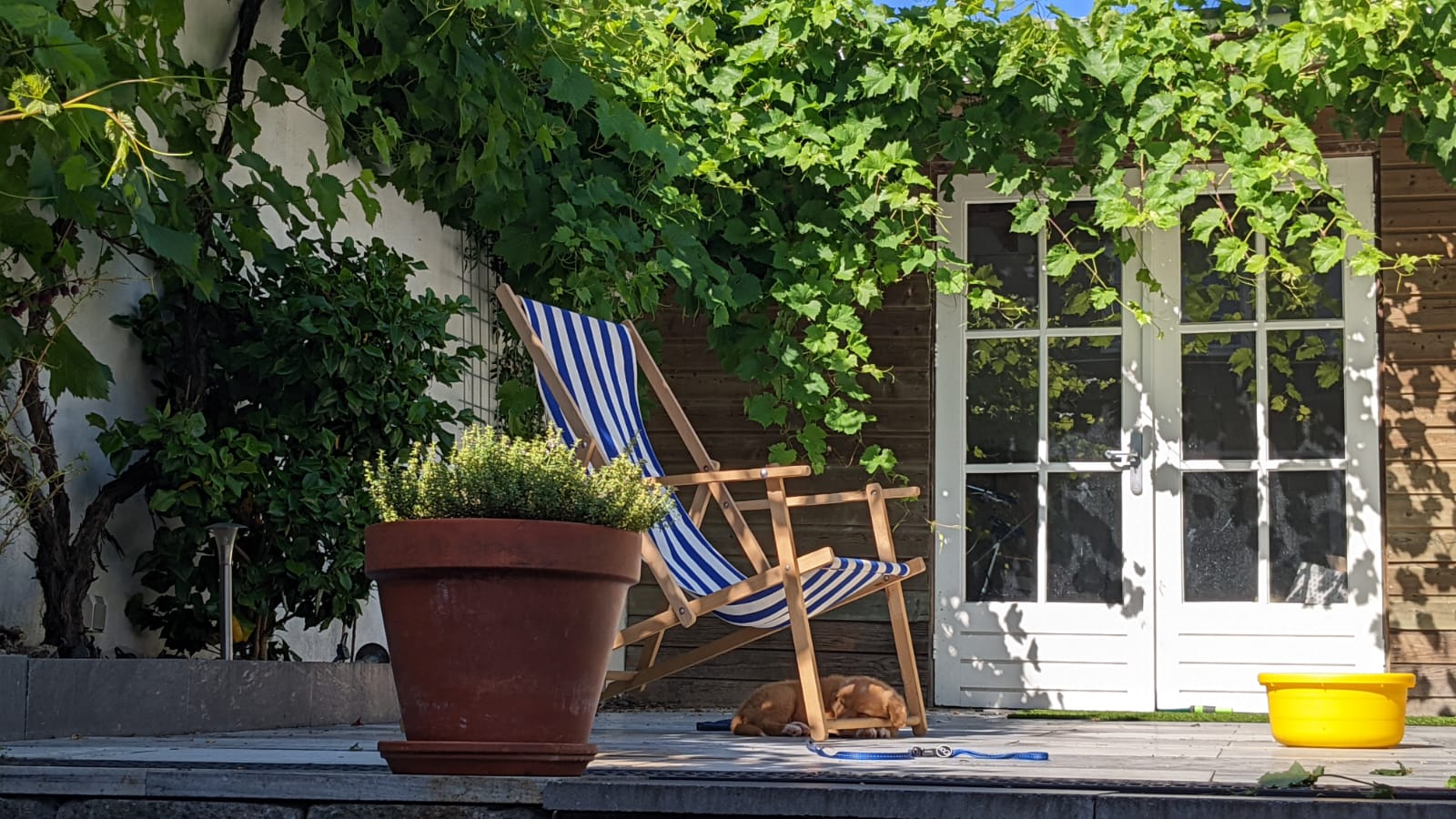 Foto 18 van Faisantenstraat 38