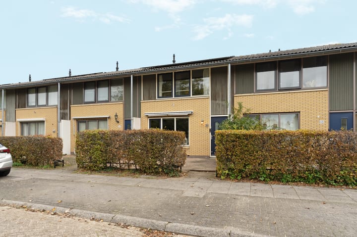 Foto 8 van Februaristraat 50