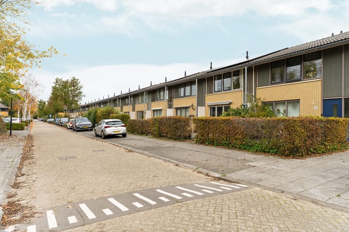 Foto 10 van Februaristraat 50