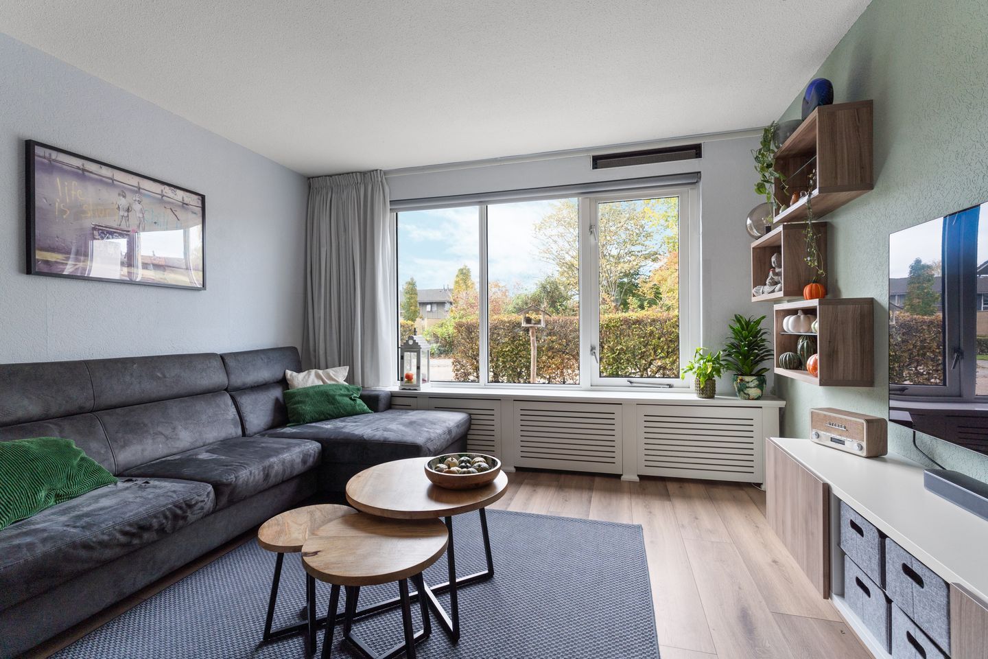 Foto 19 van Februaristraat 50