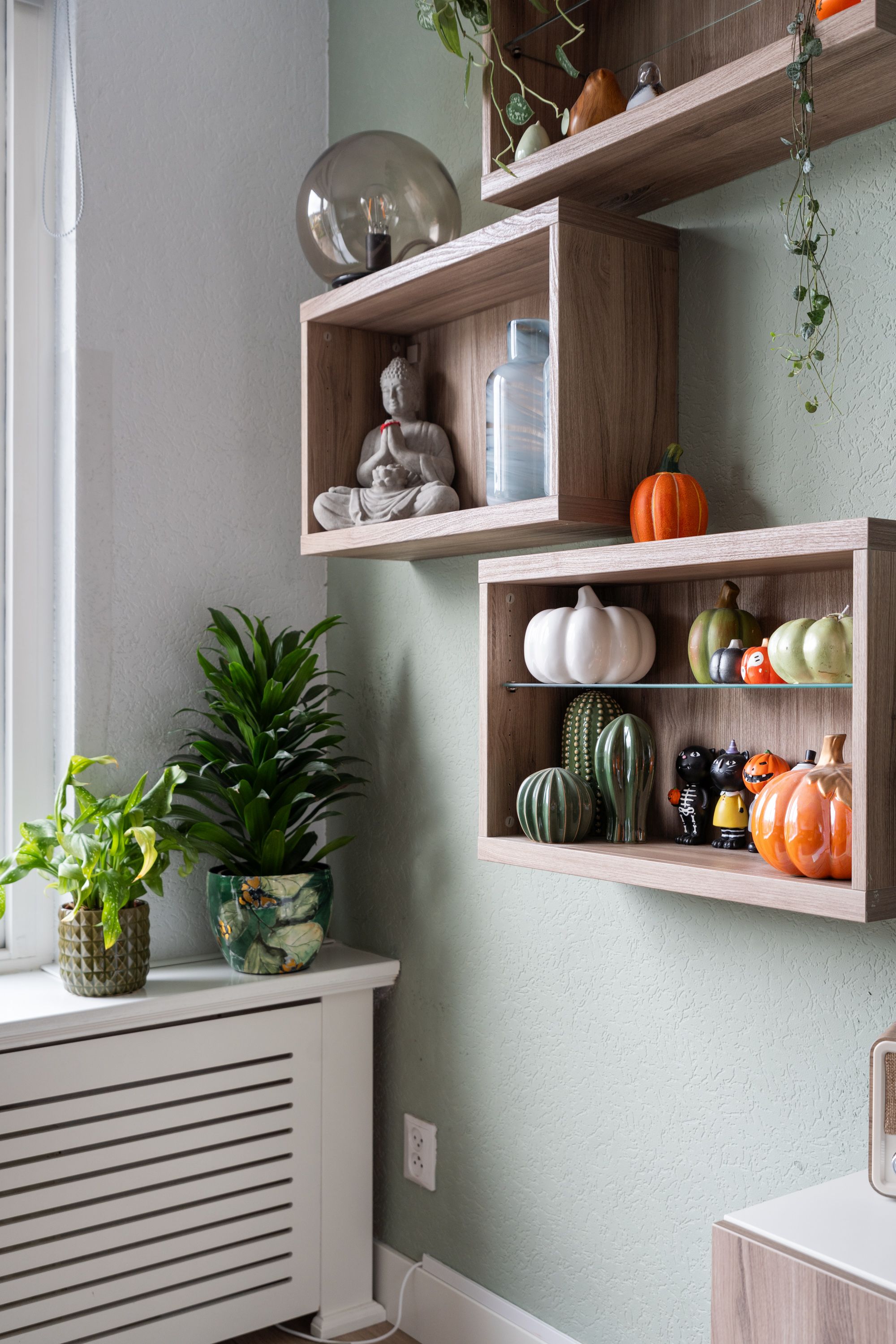 Foto 30 van Februaristraat 50