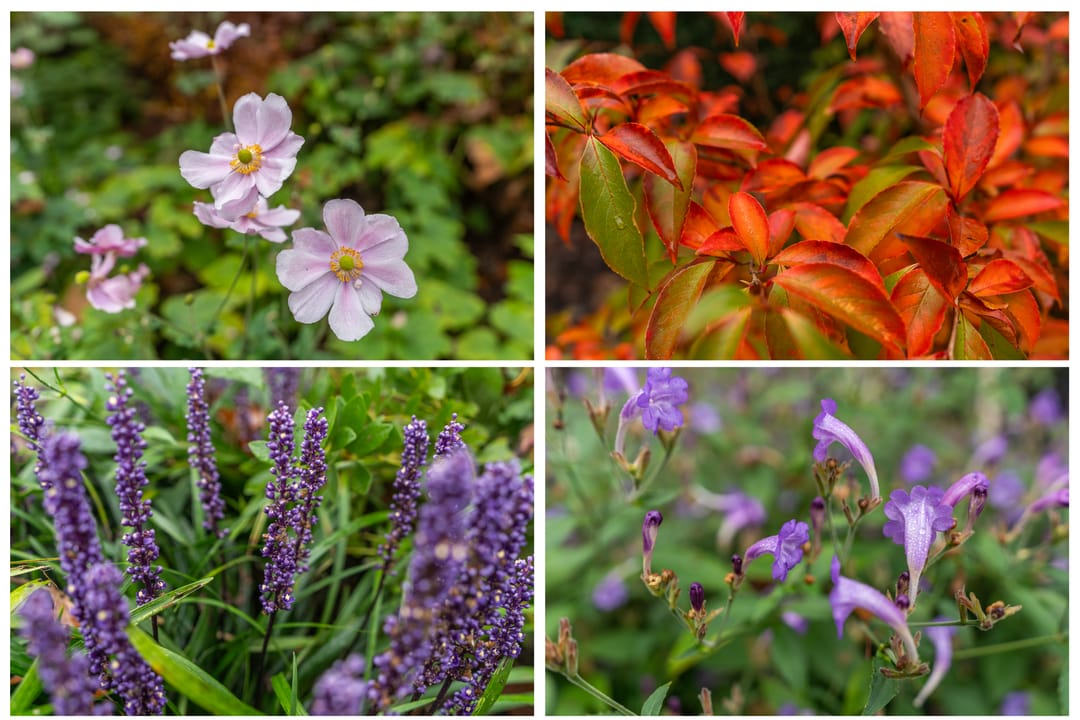 Foto 28 van Twijnmeer 3