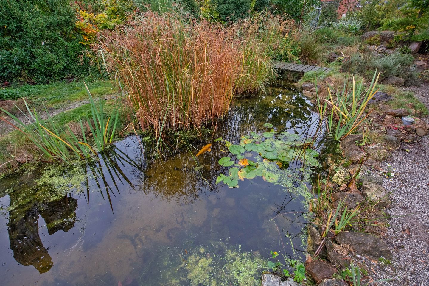 Foto 25 van Delftsestraatweg 161