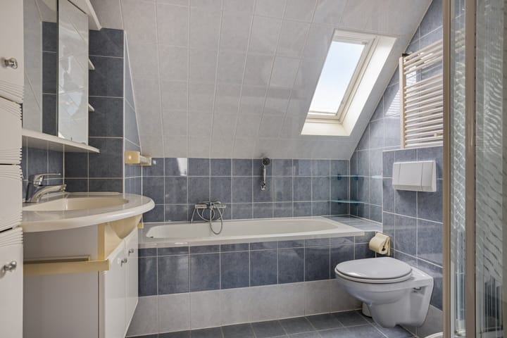 Foto 21 van Koggenland 250