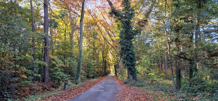 Foto 21 van Middelerpad 1