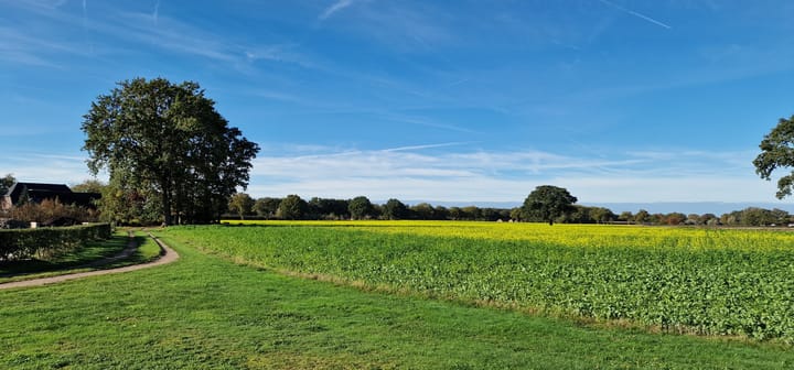 Foto 17 van Middelerpad 1