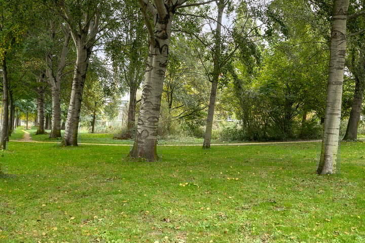 Foto 28 van P. Hans Frankfurthersingel 46