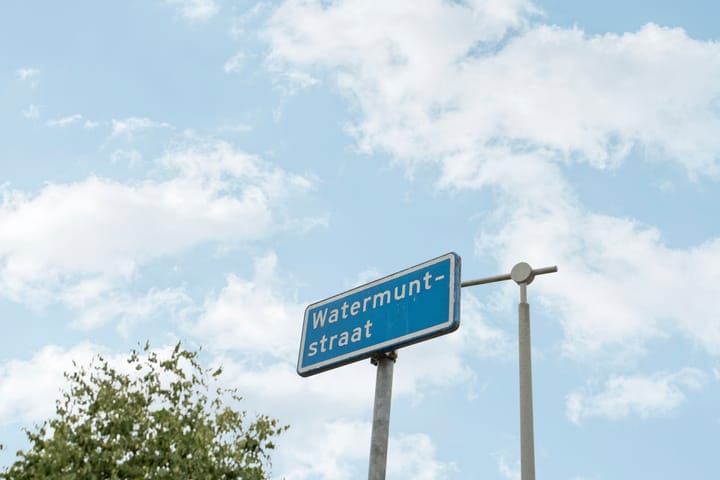 Foto 39 van Watermuntstraat 33