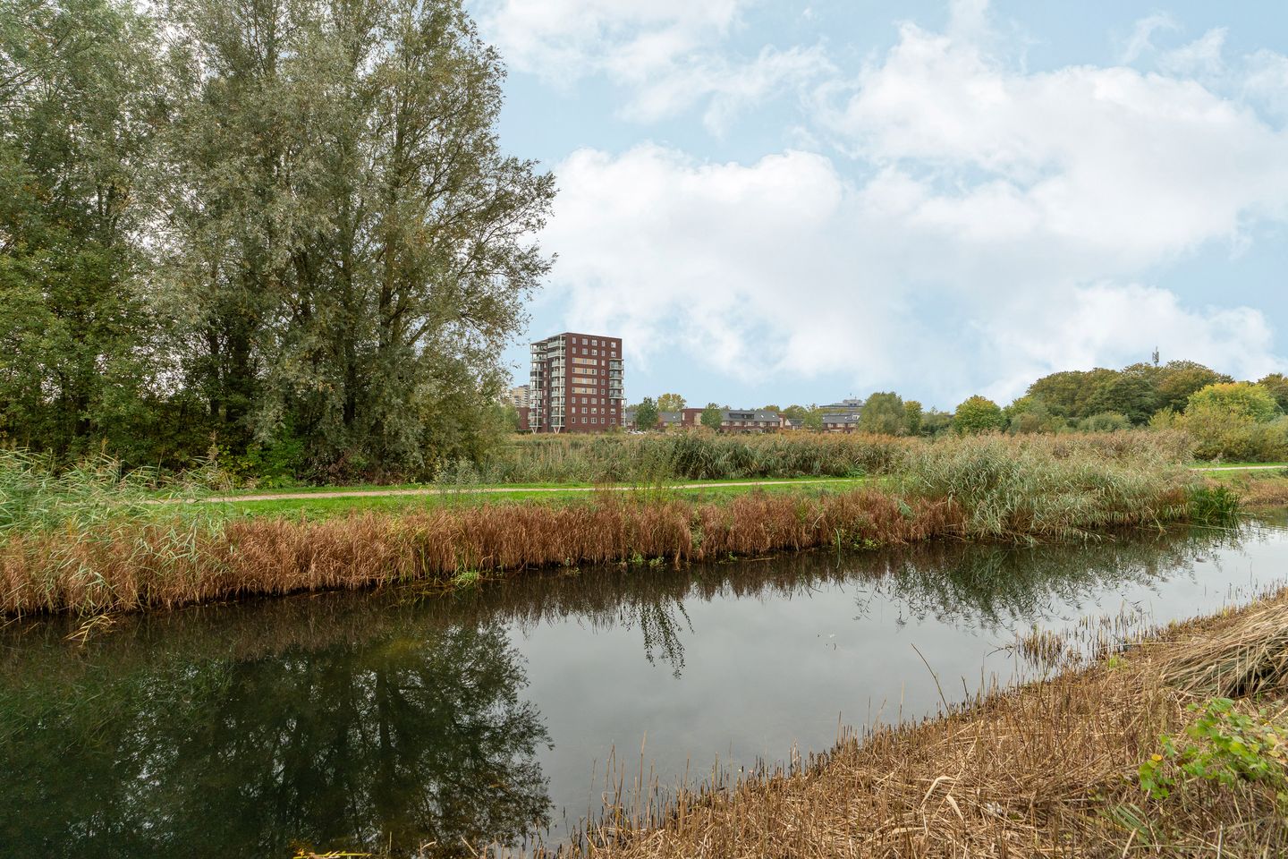 Photo 40 of Watermuntstraat 33