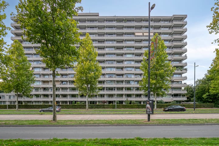 Photo 6 of Herman Gorterlaan 169