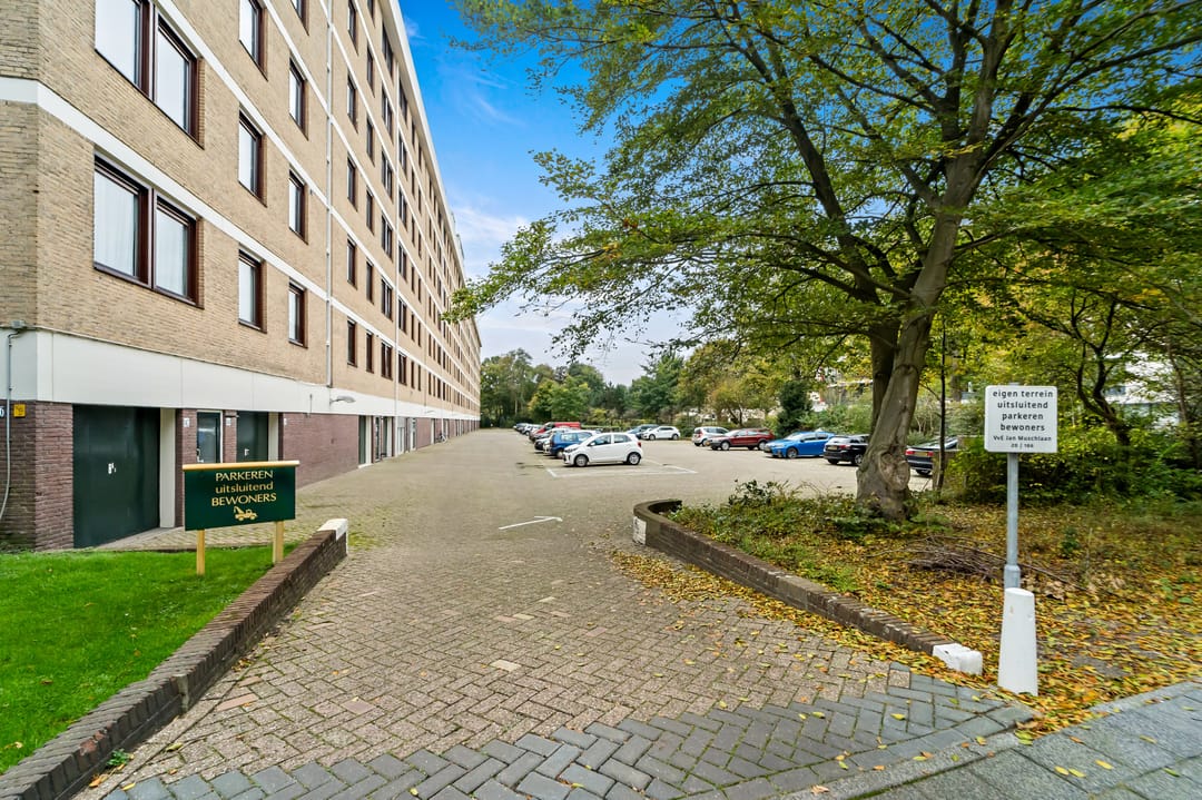 Foto 32 van Jan Muschlaan 108