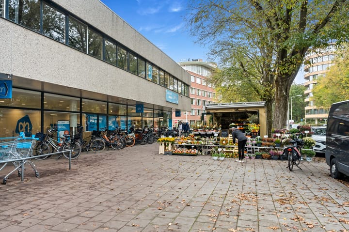 Foto 35 van Jan Muschlaan 108