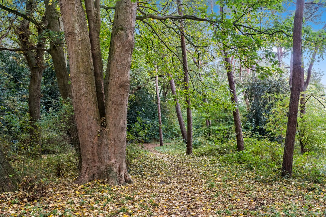 Foto 37 van Jan Muschlaan 108