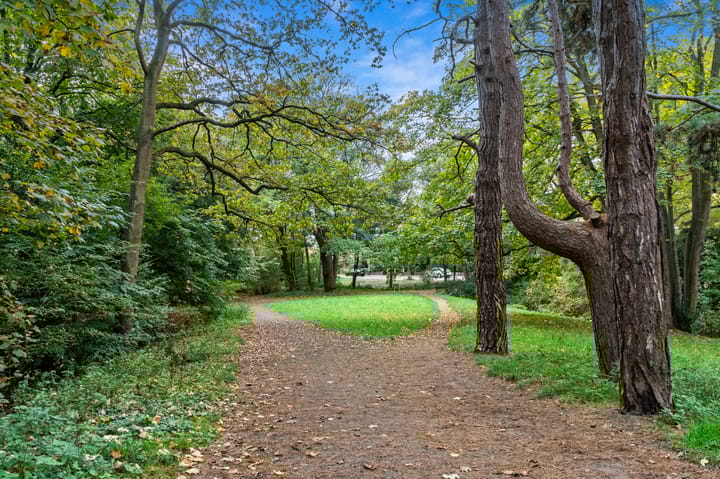 Foto 38 van Jan Muschlaan 108