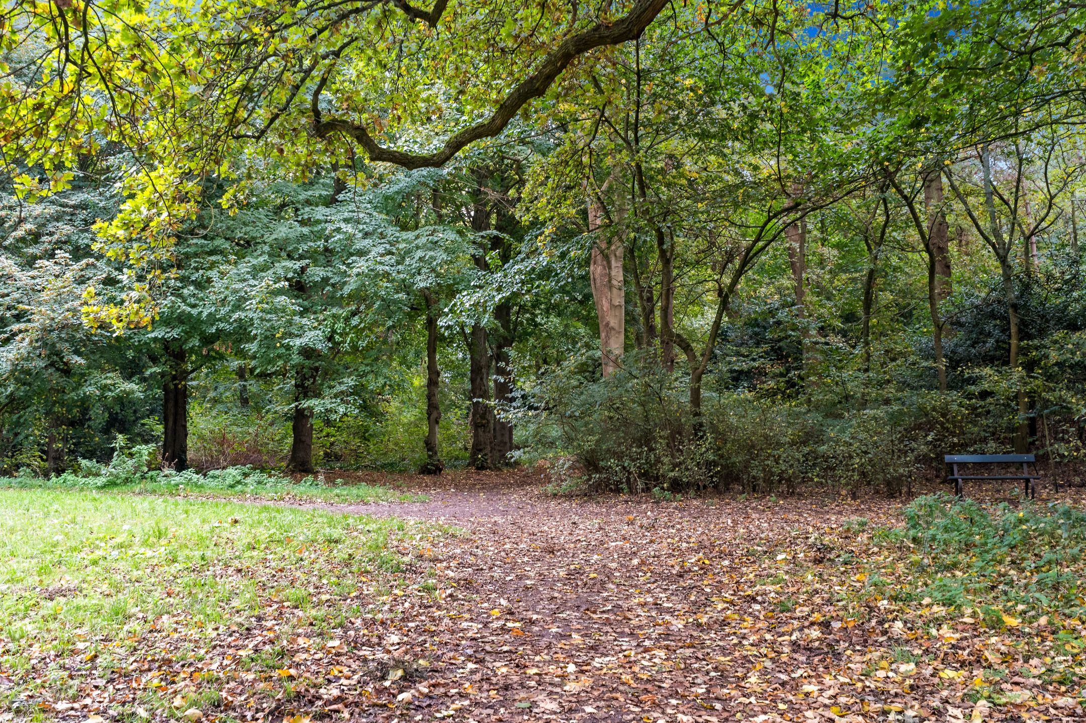 Foto 39 van Jan Muschlaan 108