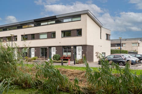 undefined main image