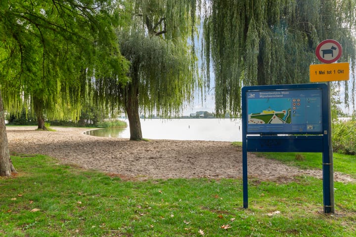 Photo 43 of Elisabeth van Loonstraat 10