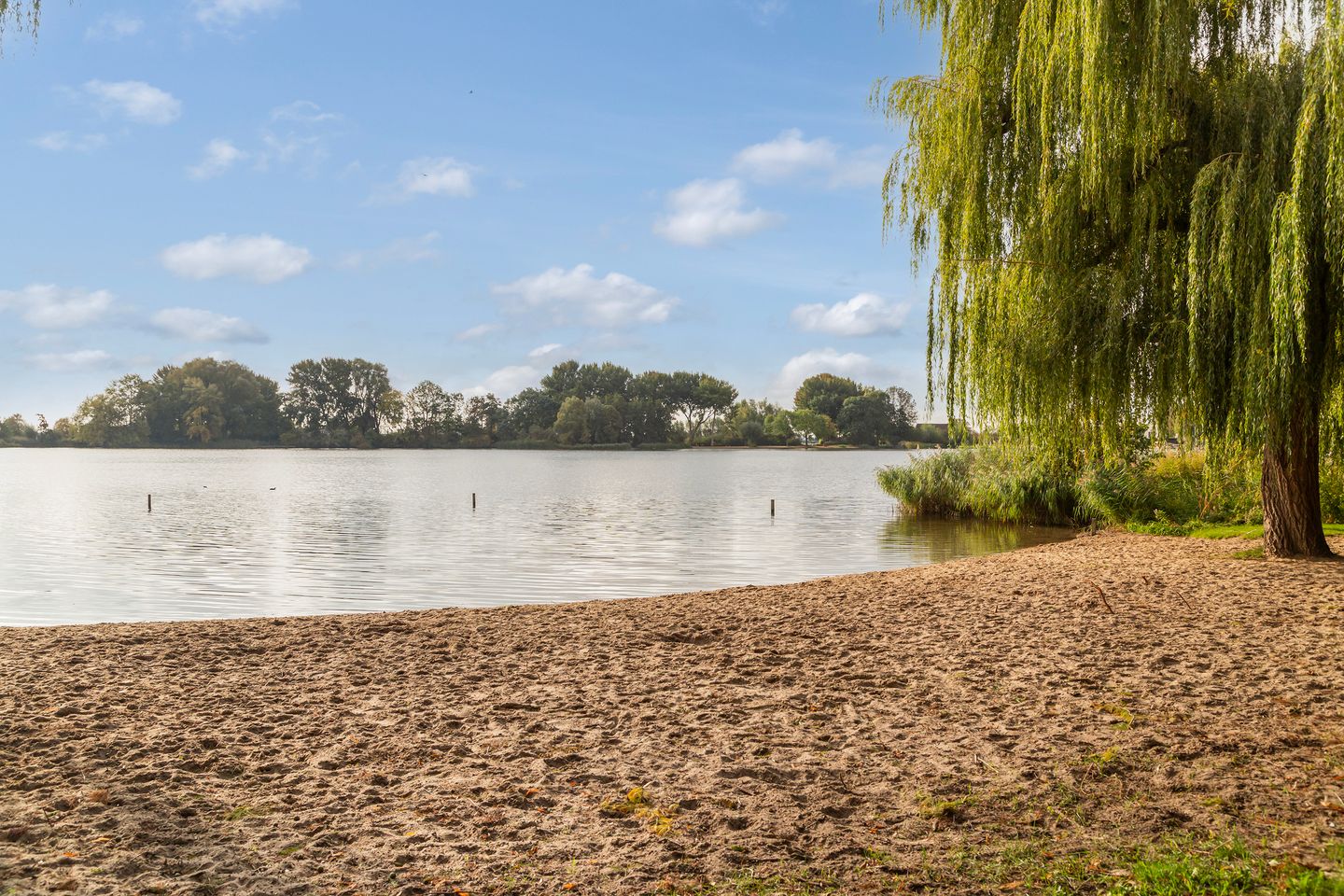 Foto 44 van Elisabeth van Loonstraat 10