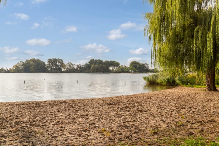 Photo 44 of Elisabeth van Loonstraat 10