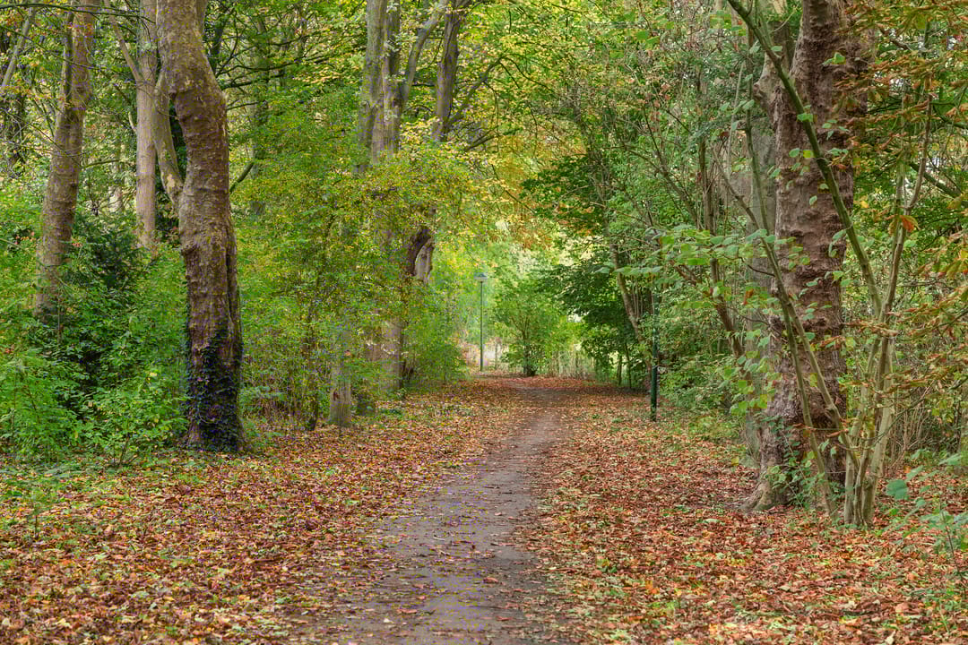 Foto 46 van Elisabeth van Loonstraat 10