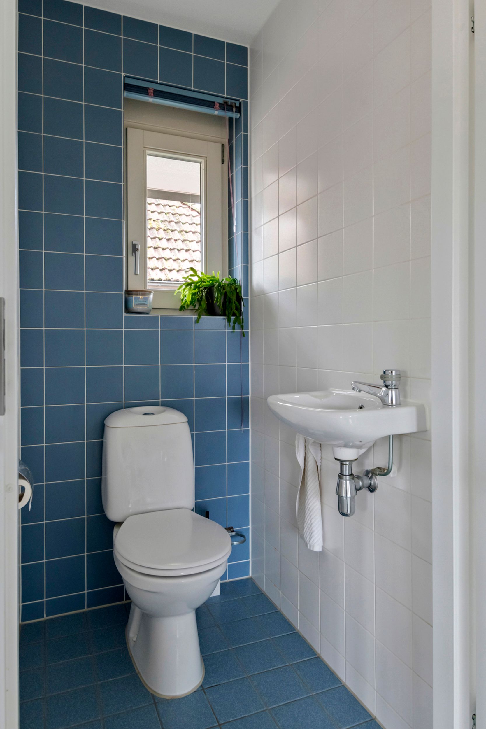 Foto 42 van Limesstraat 10