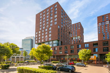 undefined main image