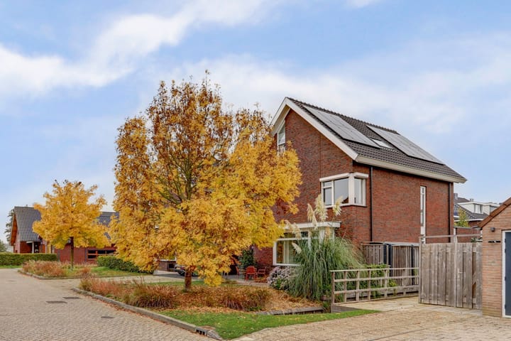 Foto 2 van De Groes 2-D