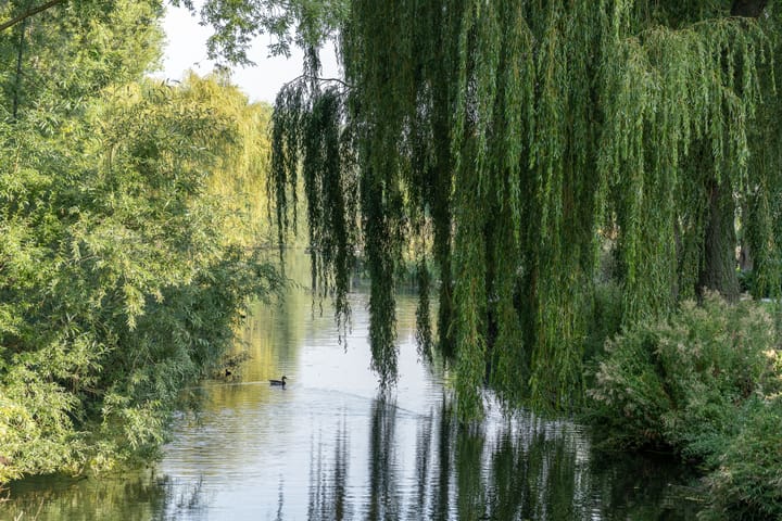 Photo 38 of Postjesweg 461